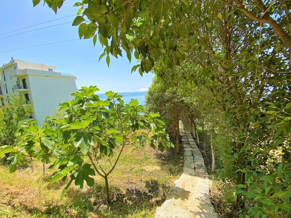 Ramo'S Green Beachside Retreat - Cozy 2 Bedroom Home Vlora Kültér fotó