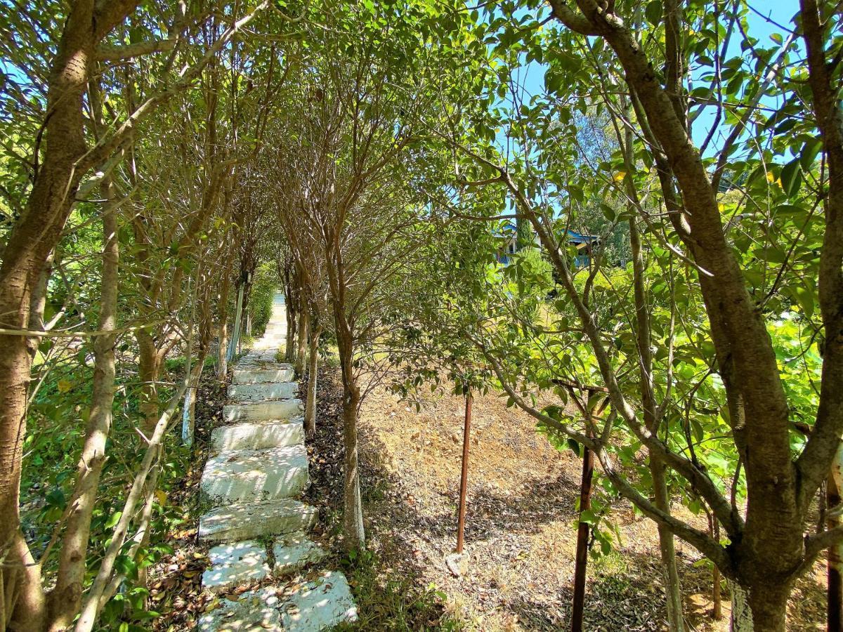 Ramo'S Green Beachside Retreat - Cozy 2 Bedroom Home Vlora Kültér fotó