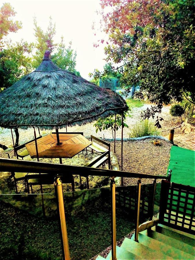 Ramo'S Green Beachside Retreat - Cozy 2 Bedroom Home Vlora Kültér fotó